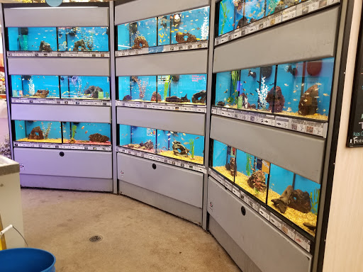 Pet Supply Store «Petco Animal Supplies», reviews and photos, 1220 Commons Cir, Plover, WI 54467, USA