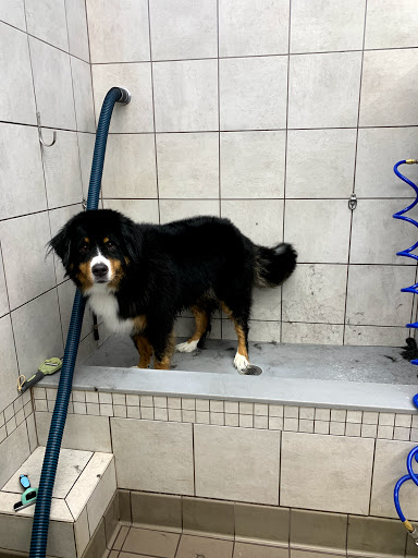 Pet Supply Store «Pet Supplies Plus», reviews and photos, 13360 W 87th St Pkwy, Lenexa, KS 66215, USA