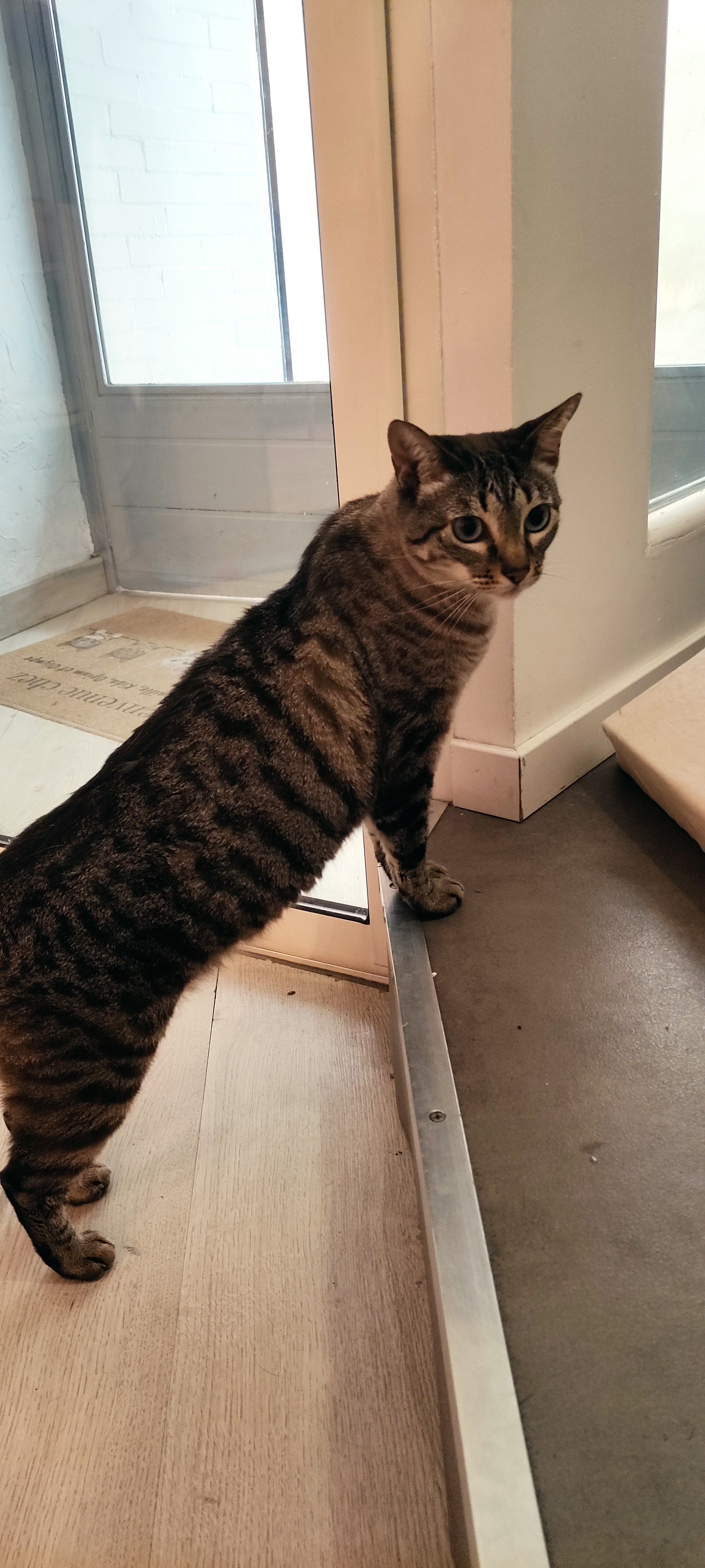Photo n° 10 de l'avis de Alexia.a fait le 18/11/2022 à 15:34