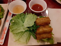 Plats et boissons du Restaurant vietnamien Le Vietnam à Bourgoin-Jallieu - n°3