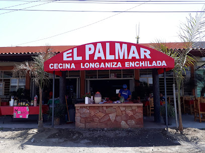 Cecina El Palmar - Cuautla-yecapixtla, Centro, 62828 Yecapixtla, Mor., Mexico
