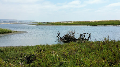 Tijuana River National Estuarine Research Reserve