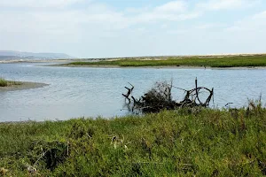 Tijuana River National Estuarine Research Reserve image
