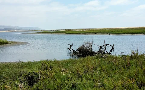 Tijuana River National Estuarine Research Reserve image