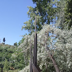 Photo n°3 de l'avis de Enzo.a fait le 14/06/2019 à 22:15 sur le  Pézinhos no Rio à Constância