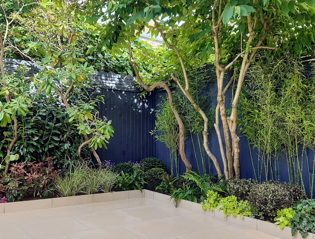 Comments and reviews of Levene Landscapes