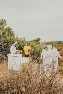 Bee Leaf USA - Photo 2 - Car repair in , El Cajon