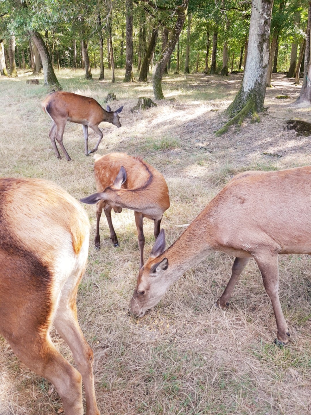 Photo n° 2 de l'avis de Octhane.a fait le 17/08/2018 à 19:35