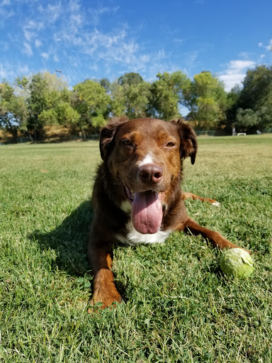 Pet Supply Store «Mud Bay», reviews and photos, 2800 196th St SW, Lynnwood, WA 98036, USA