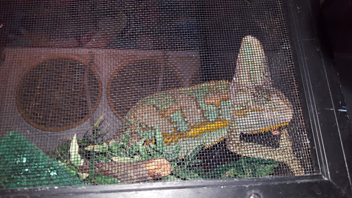 Pet Store «Mike Pet Center LLC», reviews and photos, 133 NJ-35, Neptune City, NJ 07753, USA