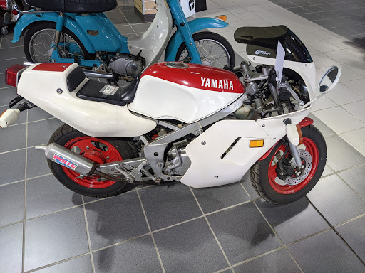 ATV Dealer «Pioneer Motorsport», reviews and photos, 12220 Olean Rd, Chaffee, NY 14030, USA