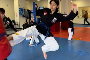Everson's Karate Institute image