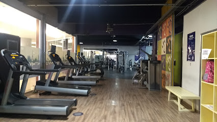 Anytime Fitness Pachuca
