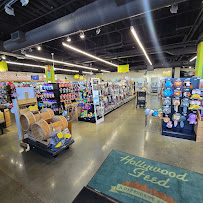 Hollywood Feed - Photo 2 - Car repair in Lee's Summit, MO, Kansas City