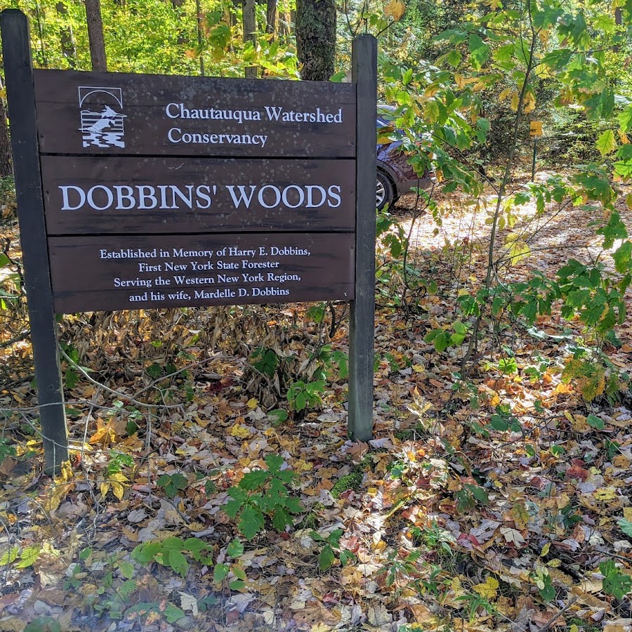 Dobbins Woods Preserve