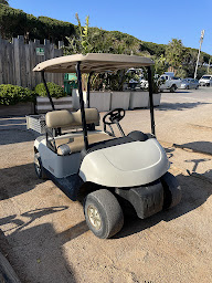 Photo n°5 de LSA Electric Cars à Cogolin ()