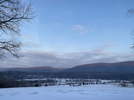 Grocery Store «Fort Valley Country Store», reviews and photos, 7091 Fort Valley Rd, Fort Valley, VA 22652, USA