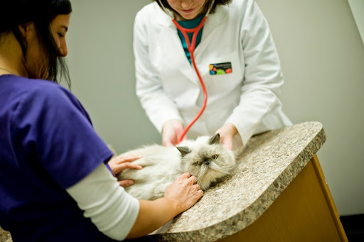 4016 River Oaks Dr C2, Myrtle Beach, SC 29579, USA