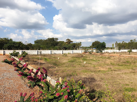 Google Maps image 23