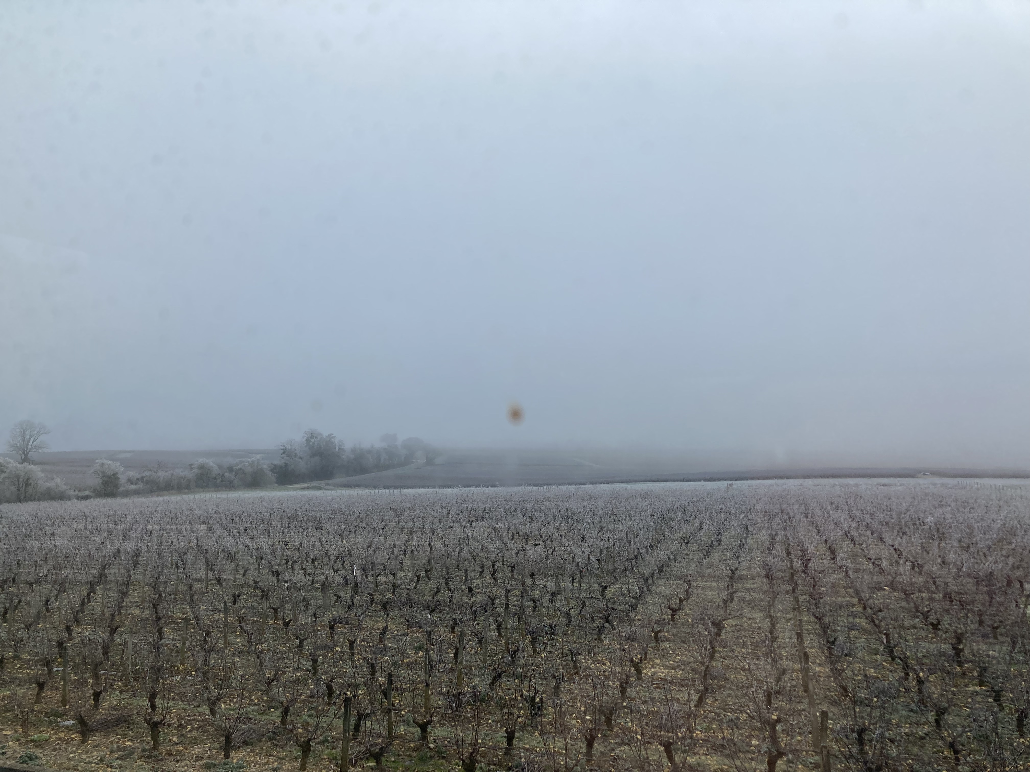 Photo n° 1 de l'avis de Edouard. fait le 12/12/2022 à 12:39