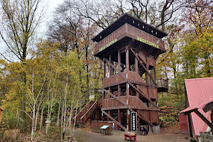 Bøgetoppen i Odense Zoo