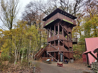 Bøgetoppen i Odense Zoo