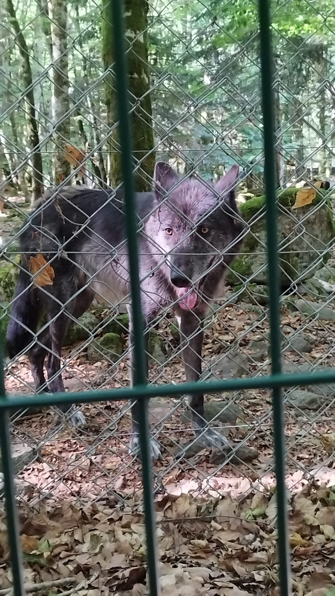 Photo n° 1 de l'avis de cathy.a fait le 03/08/2022 à 20:11