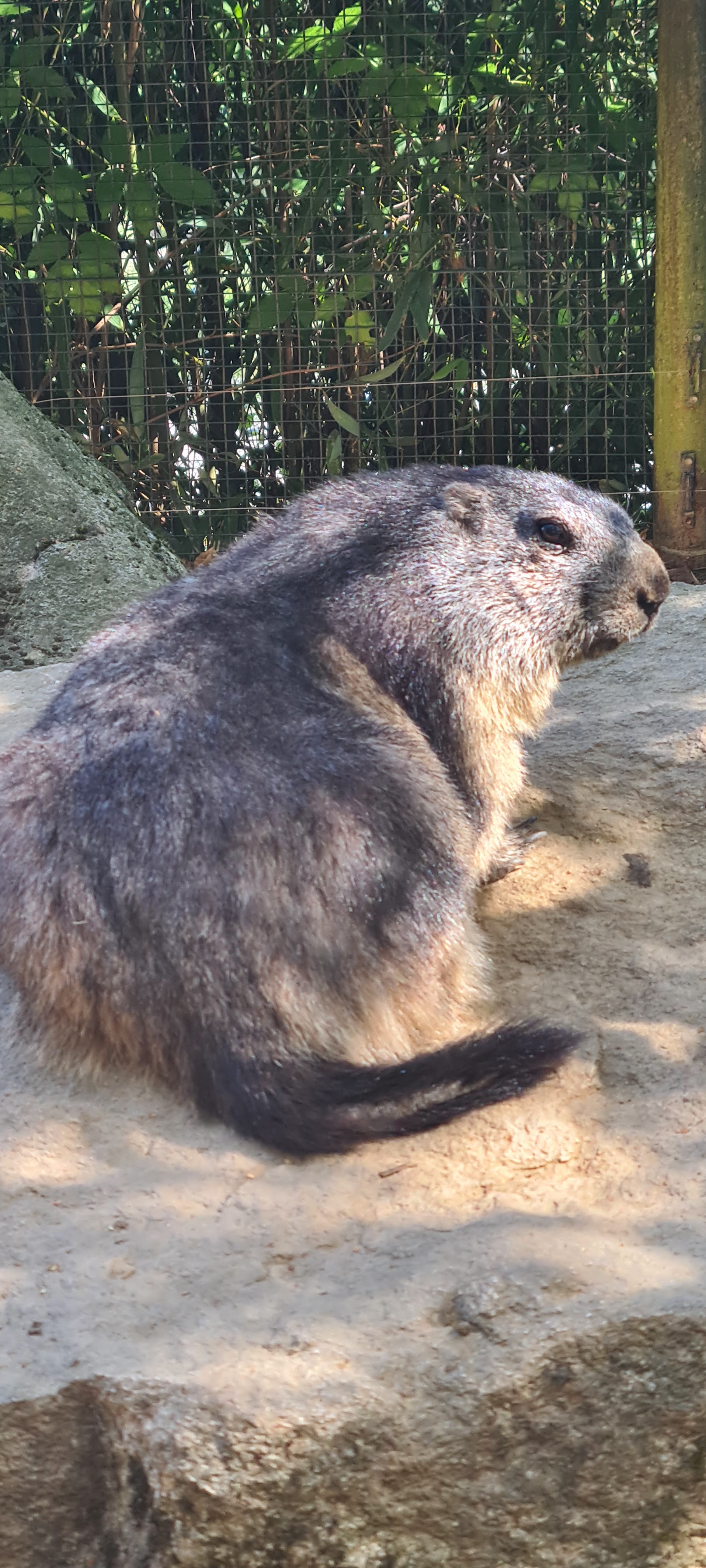 Photo n° 27 de l'avis de Jacky.r fait le 18/09/2022 à 05:13