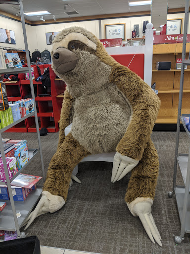Kohls image