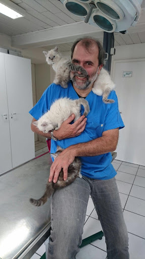 Jens Riege veterinarian unter Neuruppin, Brandenburg