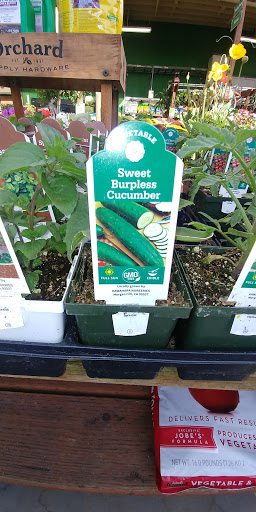 Hardware Store «Orchard Supply Hardware», reviews and photos, 17506 Yorba Linda Blvd, Yorba Linda, CA 92886, USA