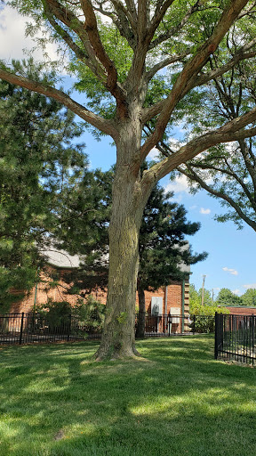 Coffee Shop «Starbucks», reviews and photos, 102 E Irving Park Rd, Itasca, IL 60143, USA