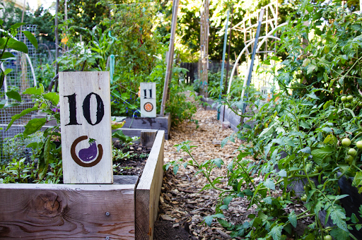 Collective Roots Community Garden