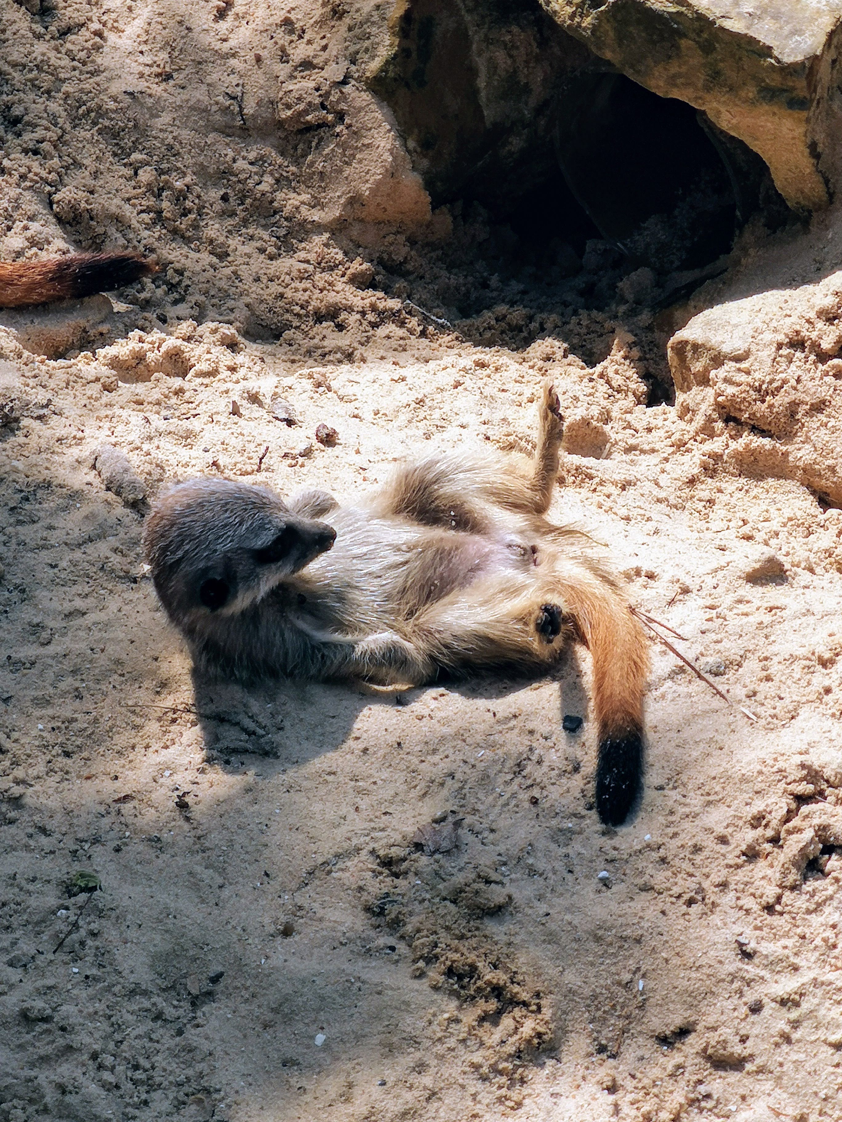 Photo n° 15 de l'avis de Bryan.r fait le 24/04/2018 à 19:19