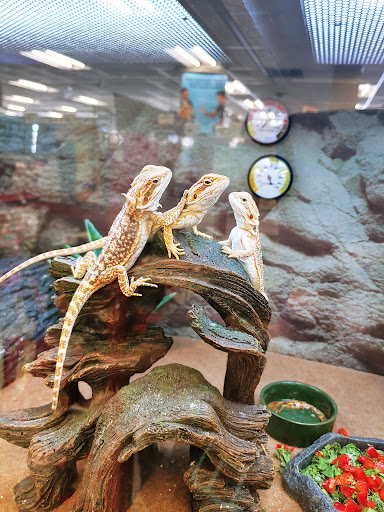 Pet Supply Store «Petco Animal Supplies», reviews and photos, 430 N Euclid St, Anaheim, CA 92801, USA