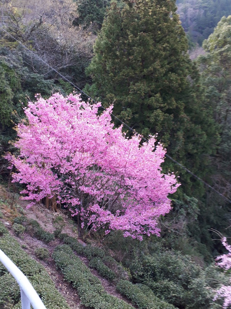 桜集会所