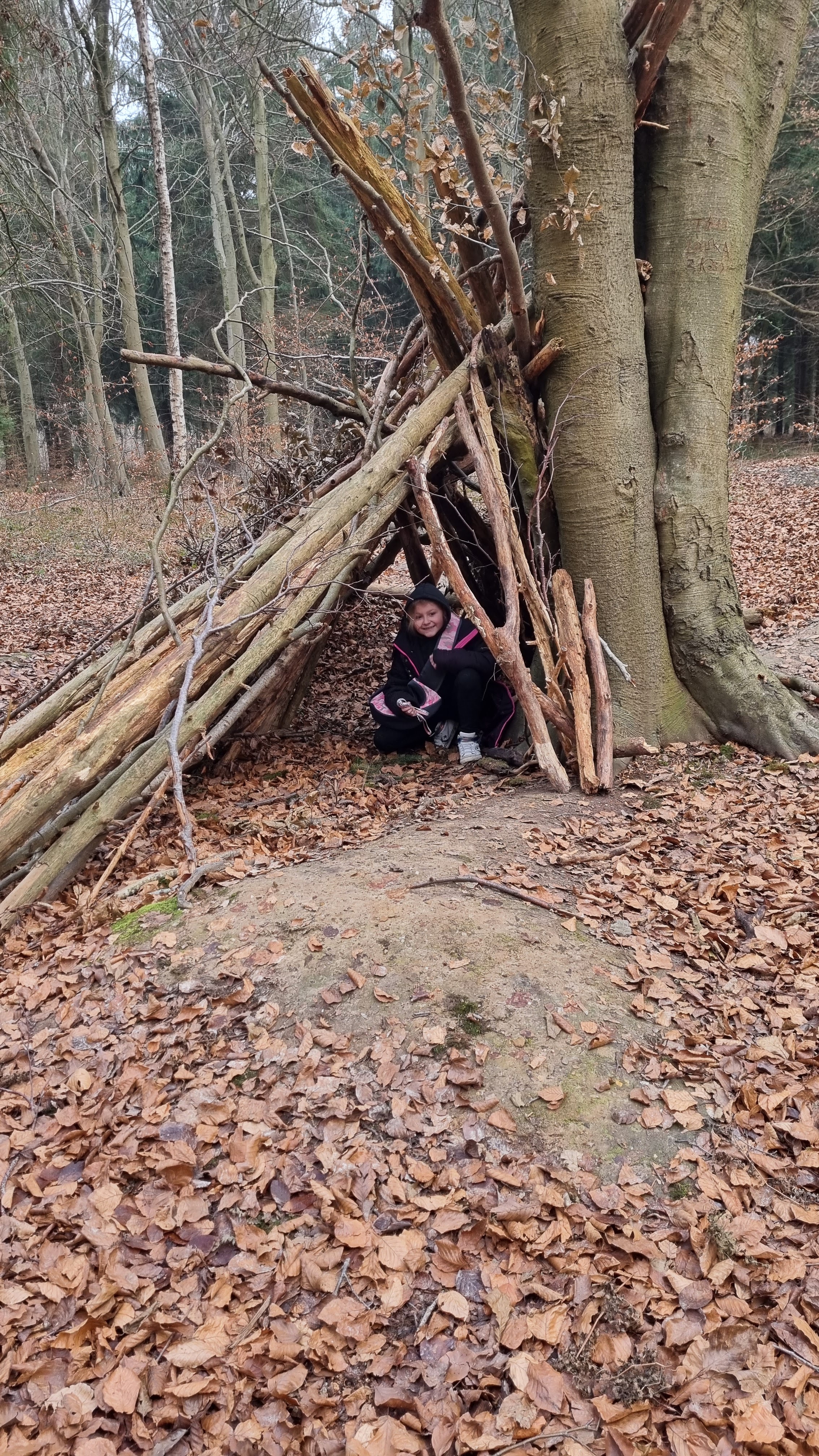 Photo n° 4 de l'avis de Boulart.n fait le 09/02/2022 à 16:21