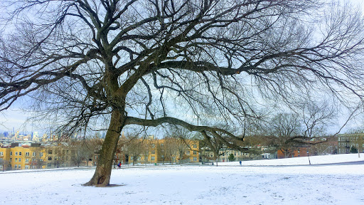 Park «Sunset Park», reviews and photos, 7th Ave & 43rd St, Brooklyn, NY 11232, USA