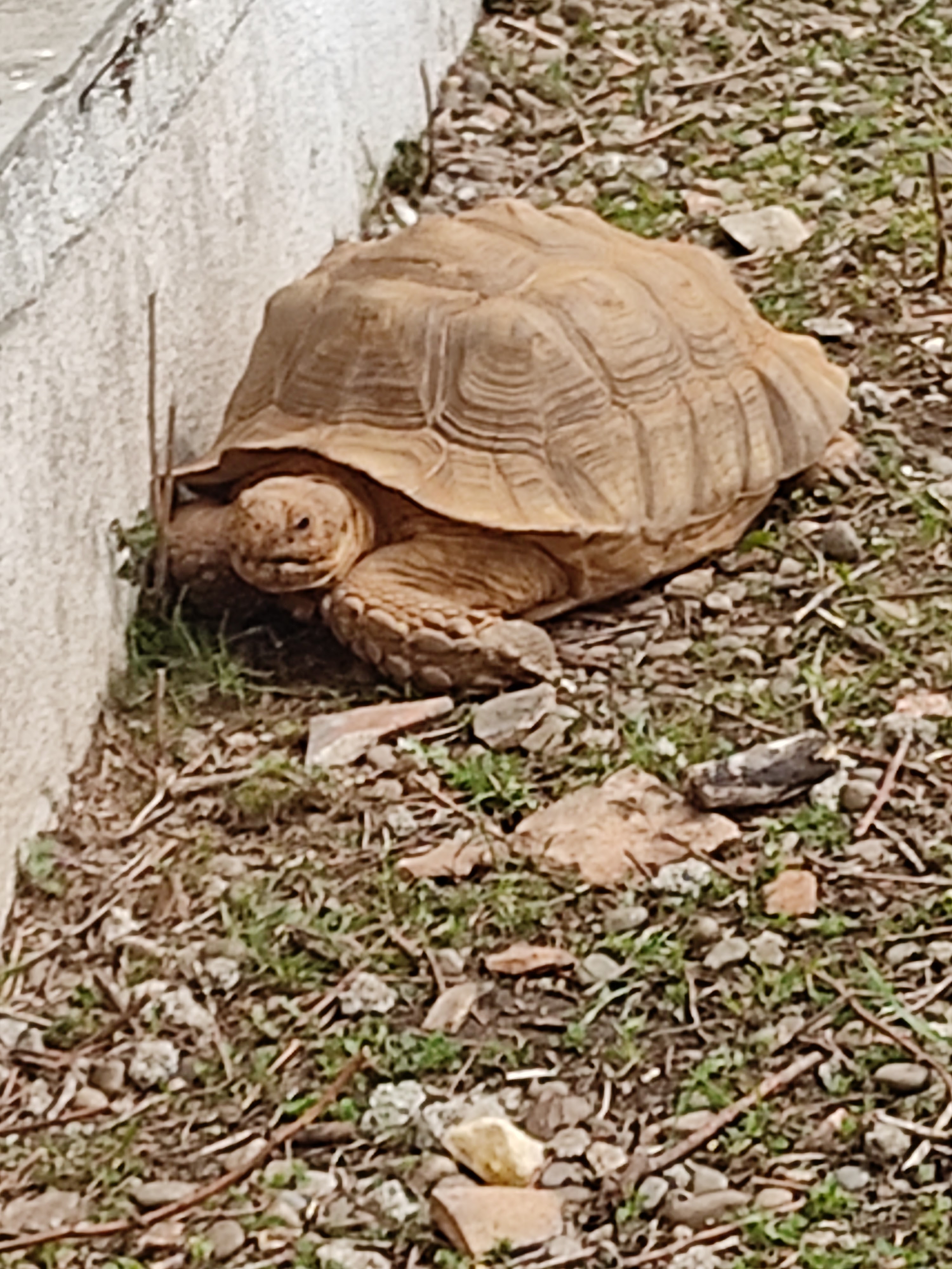 Photo n° 1 de l'avis de Florence.e fait le 01/05/2023 à 10:41