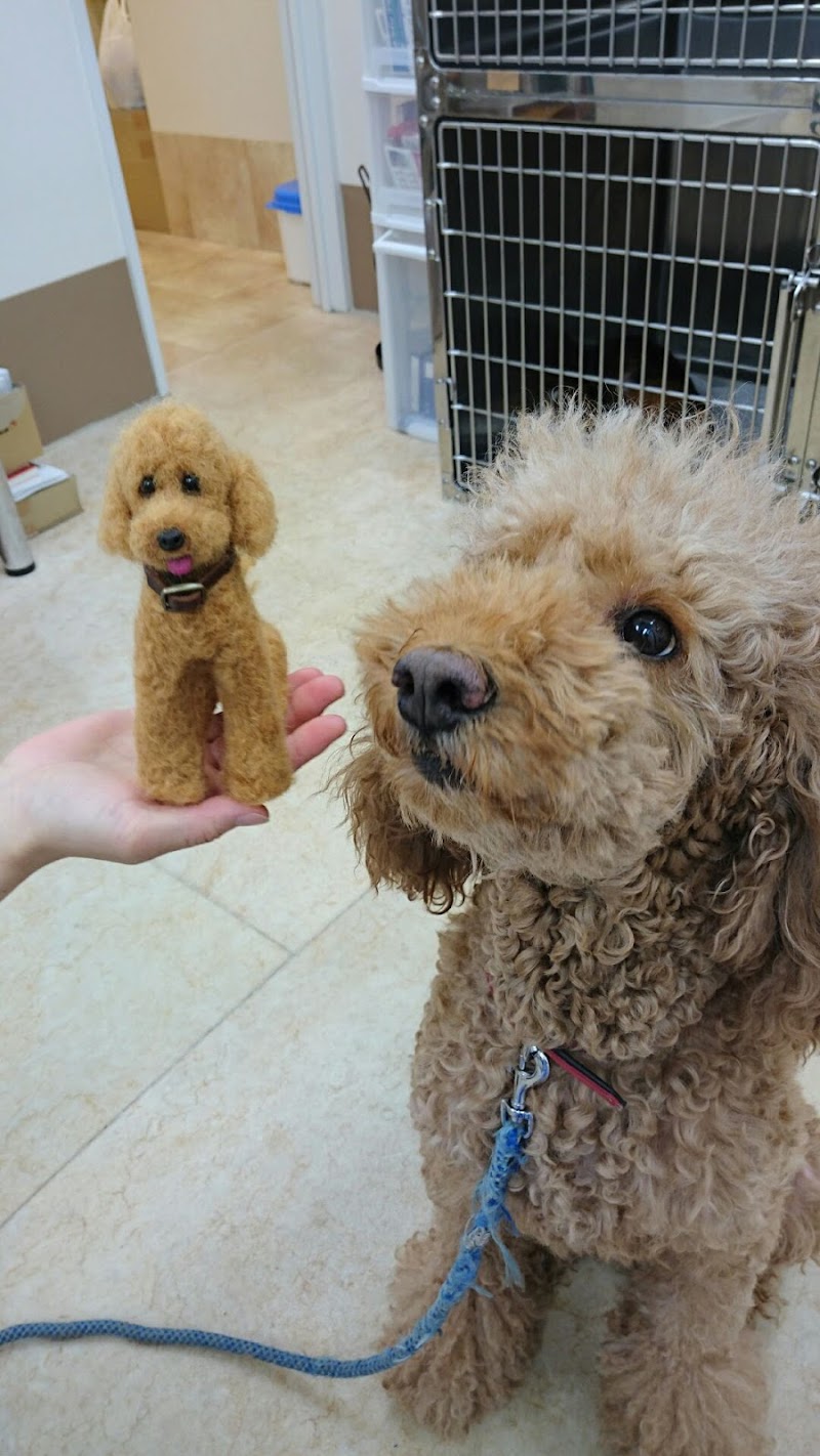 まつばら動物病院