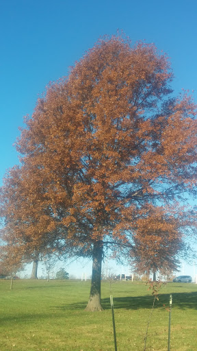 Performing Arts Theater «Gladstone Amphitheater», reviews and photos, 7656 N Troost Ave, Gladstone, MO 64118, USA