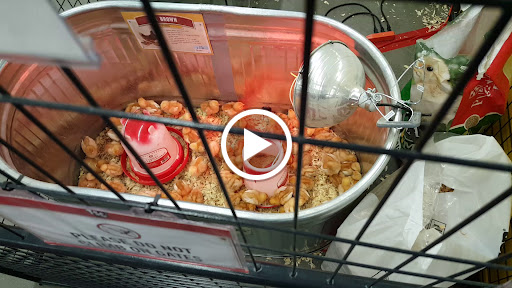 Home Improvement Store «Tractor Supply Co.», reviews and photos, 8800 Brentwood Blvd, Brentwood, CA 94513, USA