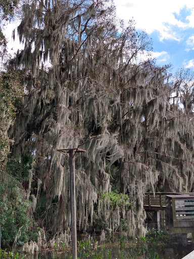 Park «Lincoln Avenue Community Park», reviews and photos, 1200 N Unser St, Mt Dora, FL 32757, USA