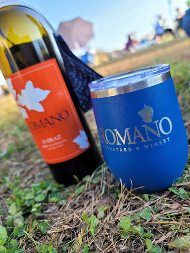 Vineyard «Romano Vineyard & Winery», reviews and photos, 15715 Bald Eagle School Rd, Brandywine, MD 20613, USA