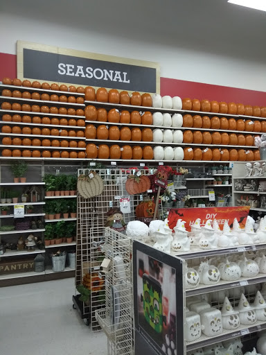 Craft Store «Michaels», reviews and photos, 11240 Legacy Ave, Palm Beach Gardens, FL 33410, USA