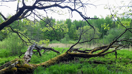 Alutaguse rahvuspark – Eesti noorim rahvuspark