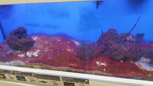 Pet Supply Store «Petco Animal Supplies», reviews and photos, 3731 Gateway Dr, Eau Claire, WI 54701, USA