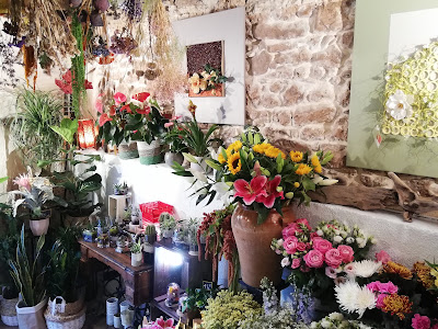 Pérols Fleurs à Pérols