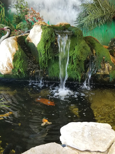 Pet Store «Pets Plus», reviews and photos, 151 Lincoln Hwy, Fairless Hills, PA 19030, USA