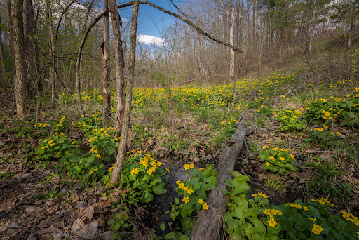 Nature Preserve «Kokiwanee Nature Preserve», reviews and photos, 5825 E 50 S, Lagro, IN 46941, USA